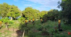 RSMA plantation poe1