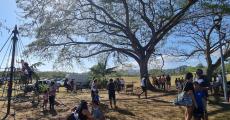 pumptrack 19
