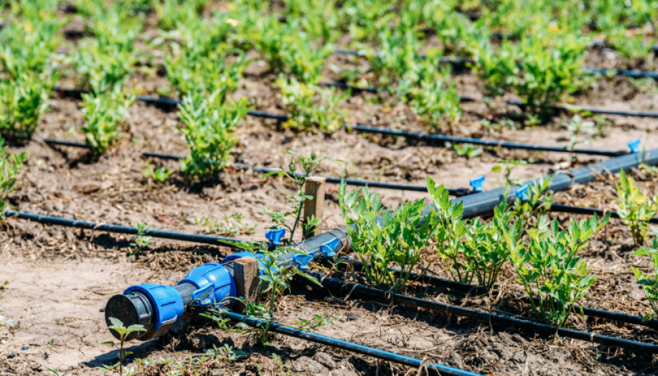 Accompagnement technique pour les agriculteurs