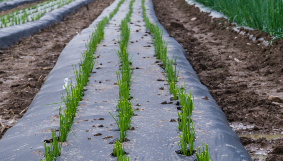 Aide à la tenue de la comptabilité pour les entrepreneurs agricoles