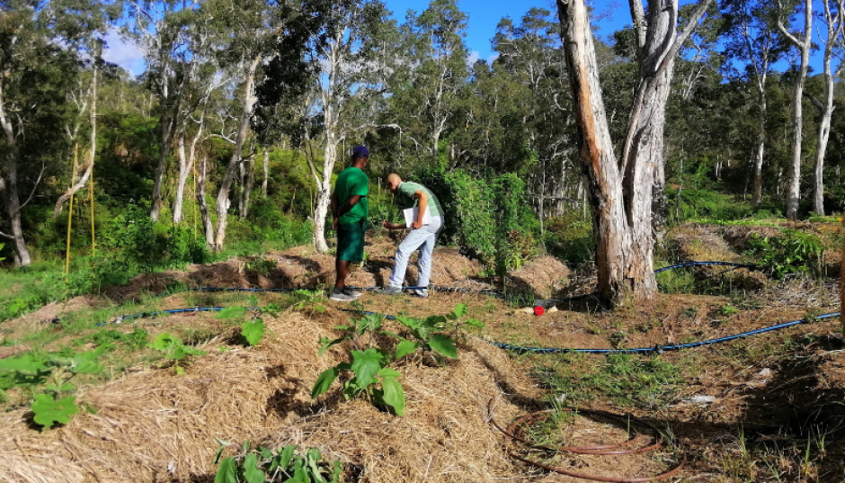 Formation dans le secteur rural