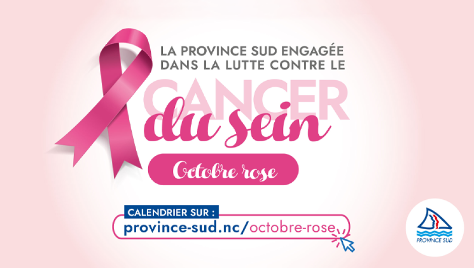 octobre-rose-2024-article