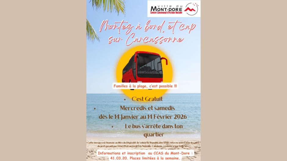 Montez à bord et cap sur Carcossonne 