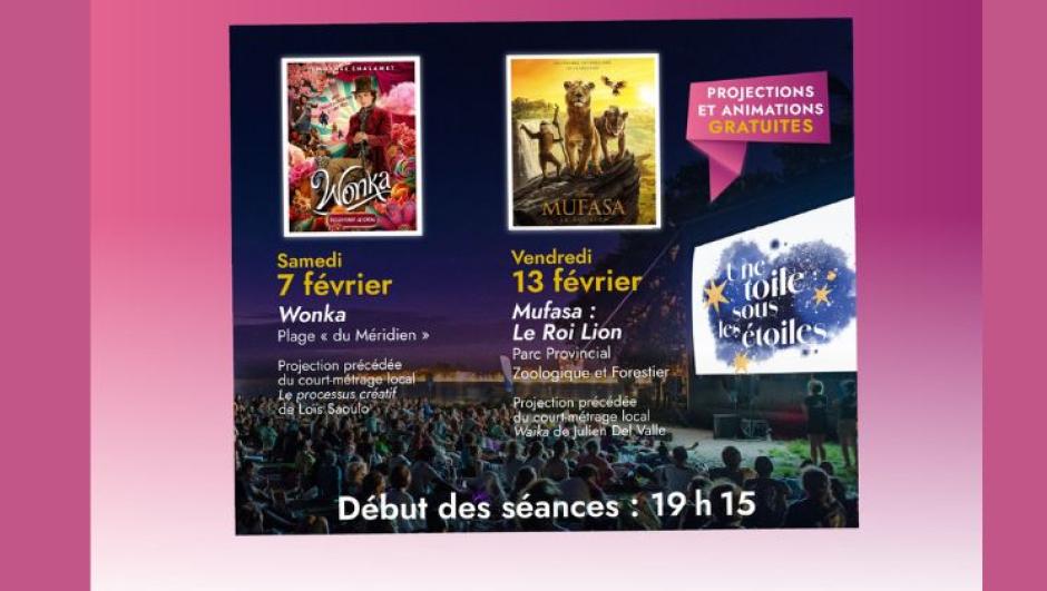 une toiles sous les étoiles