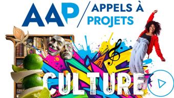 aap culture